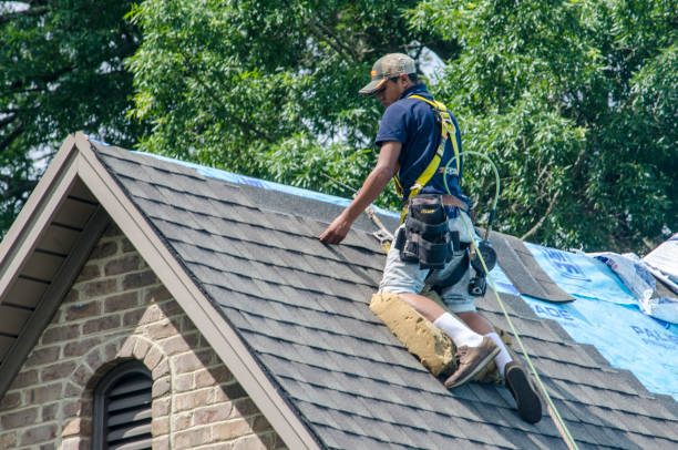 Best Affordable Roof Replacement  in Fayetteville, AR